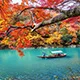 开云下载1